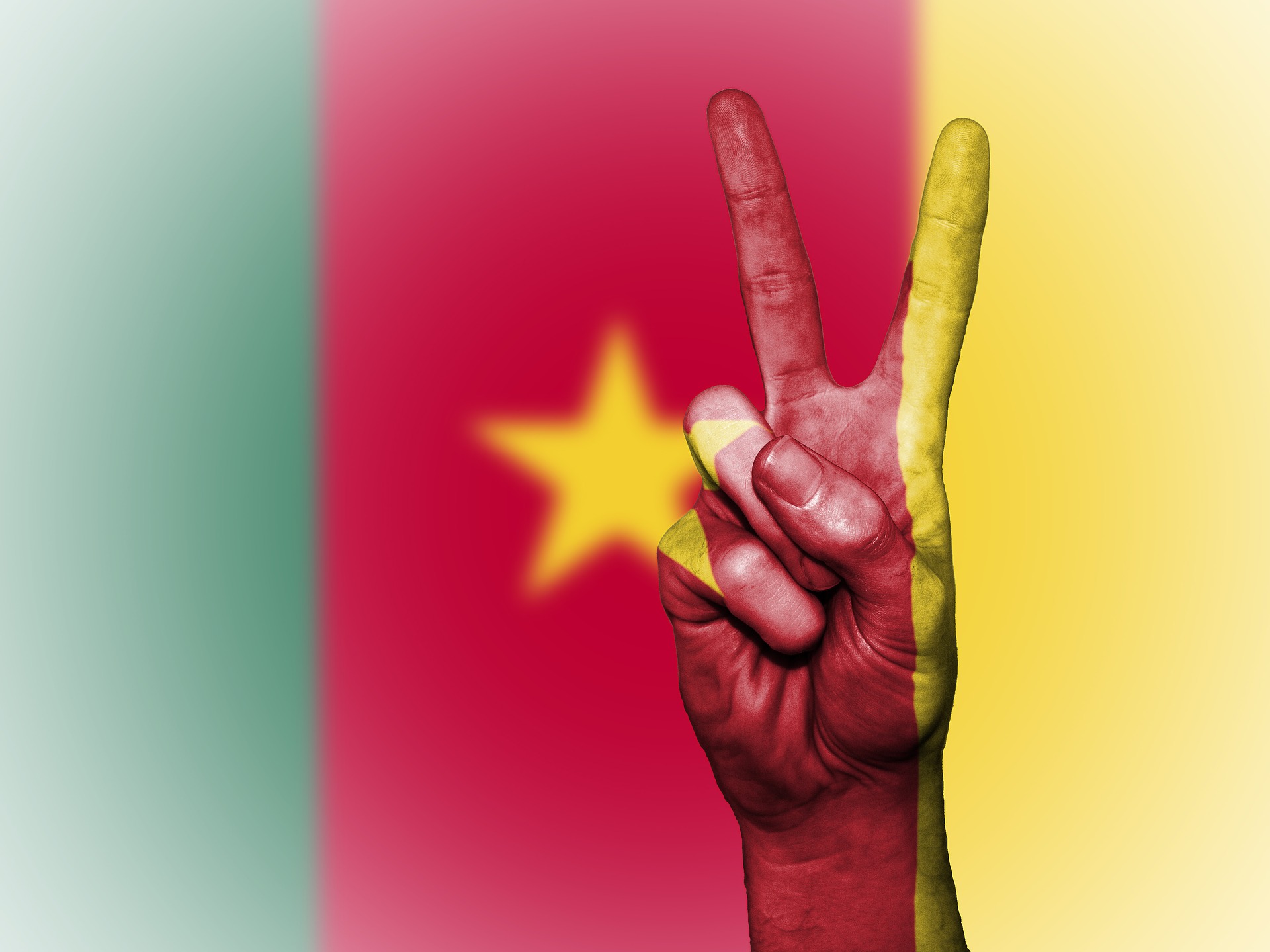 Cheap international calls to Cameroon Cheap international calls to Cameroon